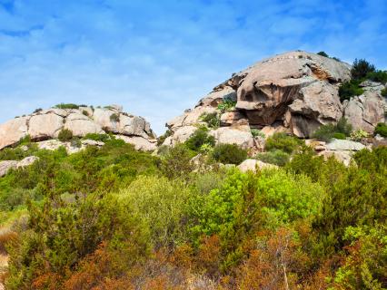 Rocky scrubland, Australia