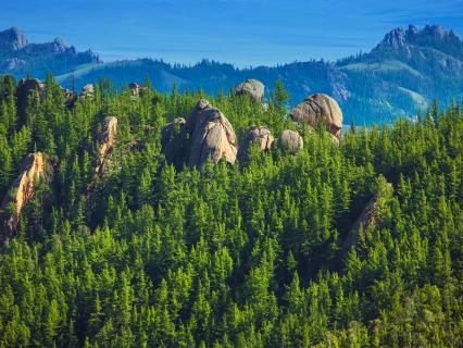 Taiga National Park, Russia