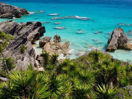 Rocky coast of Bermuda by Horseshoe Bay Beach and Wariwick Beach.
